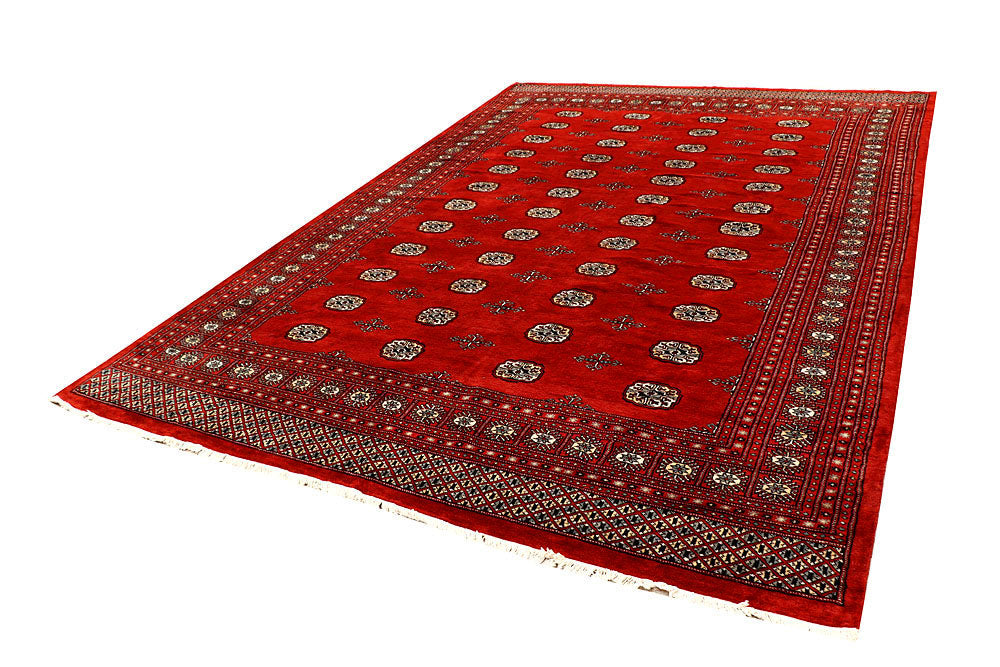 Orange Red Bokhara 8' 1 x 11' 7 - No. 59494 - ALRUG Rug Store