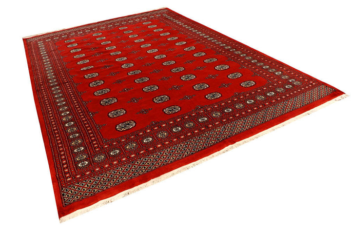 Orange Red Bokhara 8' 1 x 11' 7 - No. 59494 - ALRUG Rug Store