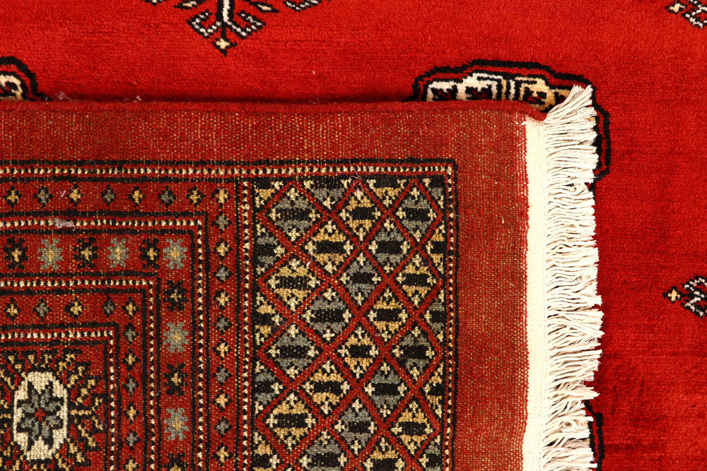 Orange Red Bokhara 8' 1 x 11' 7 - No. 59494 - ALRUG Rug Store