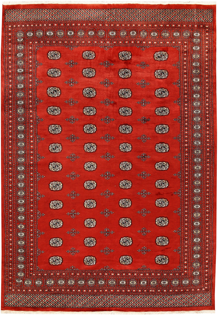 Orange Red Bokhara 8' 1 x 11' 7 - No. 59494 - ALRUG Rug Store