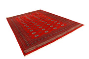 Orange Red Bokhara 8' 1 x 11' 7 - No. 59495 - ALRUG Rug Store