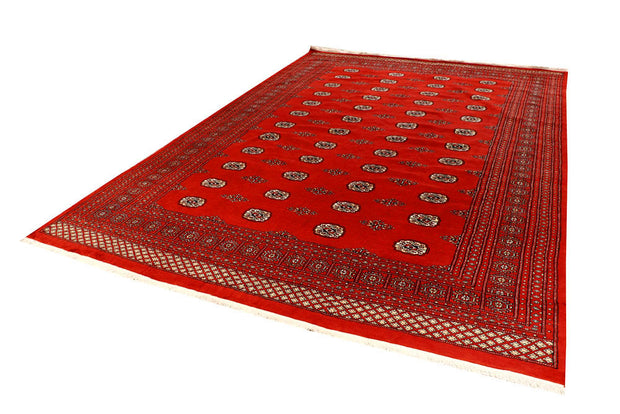 Orange Red Bokhara 8' 1 x 11' 7 - No. 59495 - ALRUG Rug Store