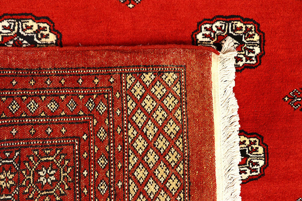 Orange Red Bokhara 8' 1 x 11' 7 - No. 59495 - ALRUG Rug Store