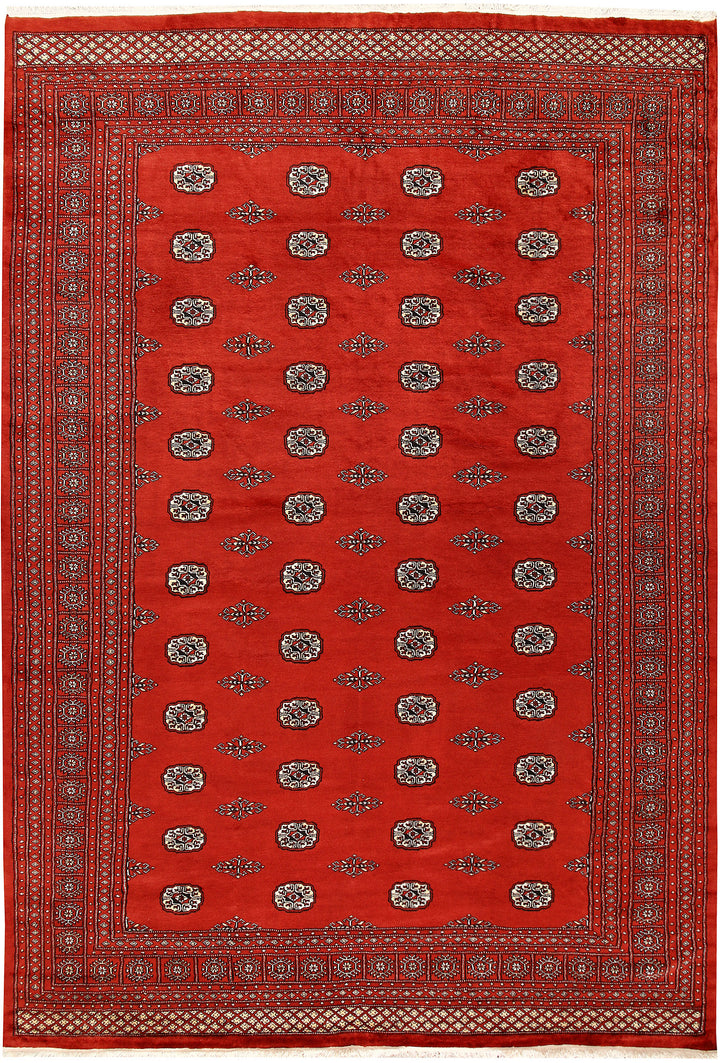 Orange Red Bokhara 8' 1 x 11' 7 - No. 59495 - ALRUG Rug Store