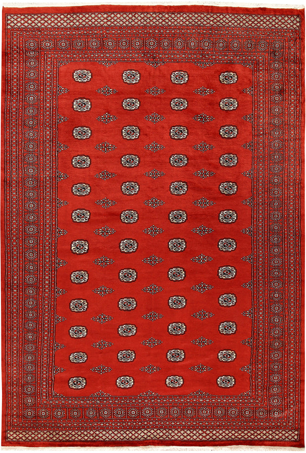 Orange Red Bokhara 8' 1 x 11' 7 - No. 59495 - ALRUG Rug Store