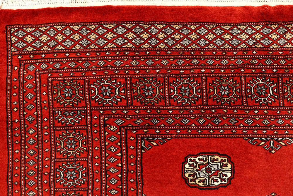 Orange Red Bokhara 8' 1 x 11' 9 - No. 59497 - ALRUG Rug Store