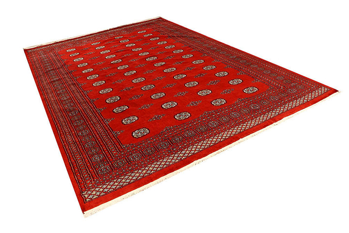 Orange Red Bokhara 8' 1 x 11' 9 - No. 59497 - ALRUG Rug Store