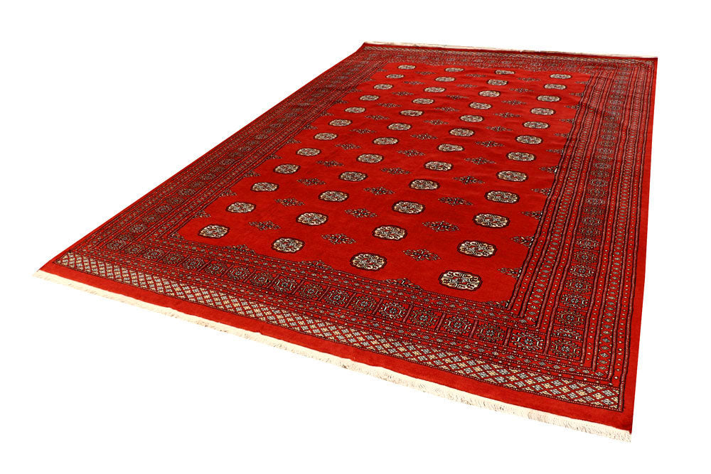 Orange Red Bokhara 8' 1 x 11' 9 - No. 59497 - ALRUG Rug Store