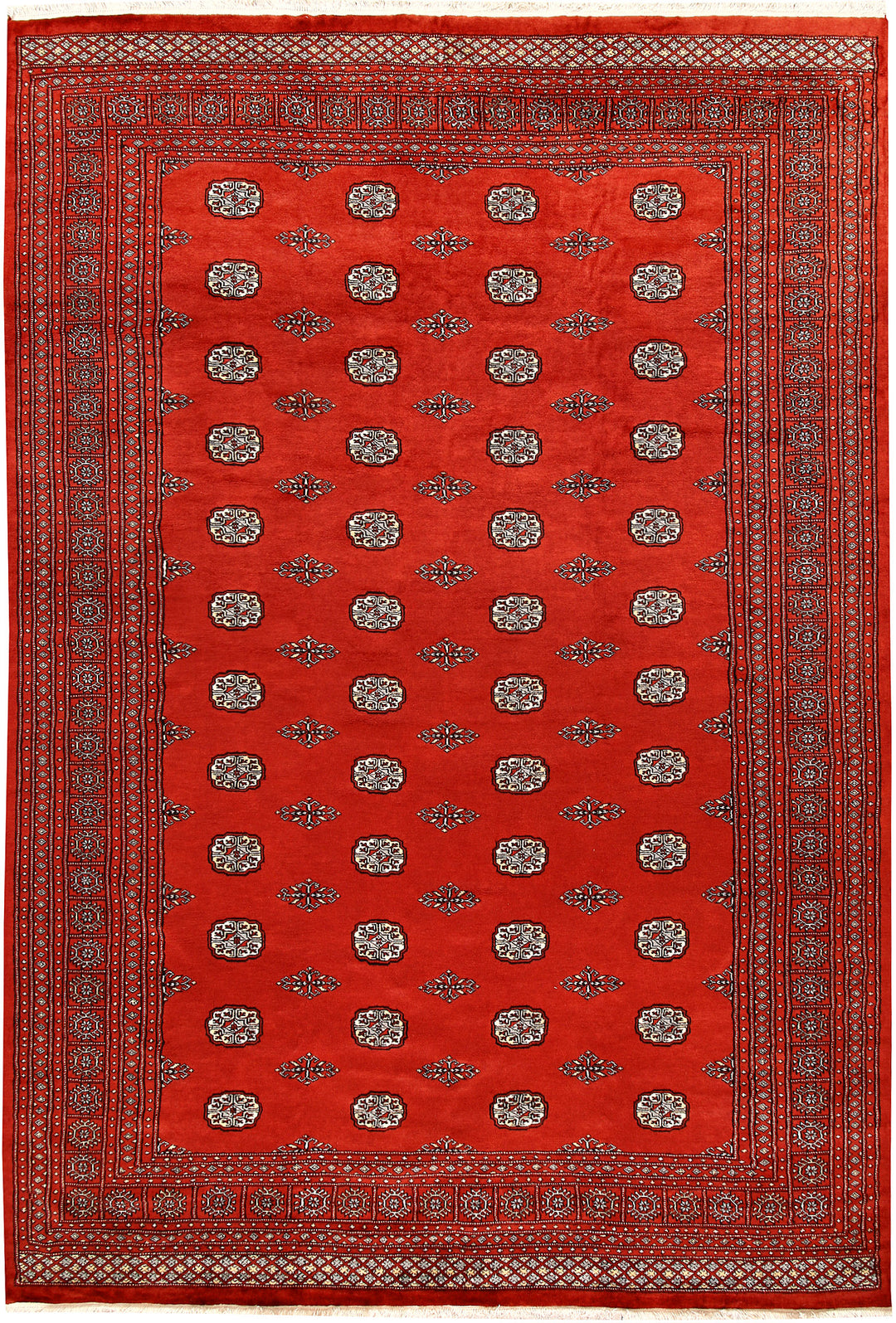 Orange Red Bokhara 8' 1 x 11' 9 - No. 59497 - ALRUG Rug Store