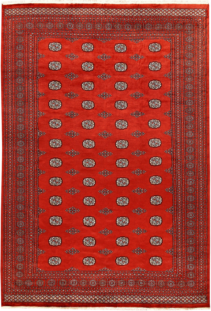 Orange Red Bokhara 8' 1 x 11' 9 - No. 59497 - ALRUG Rug Store