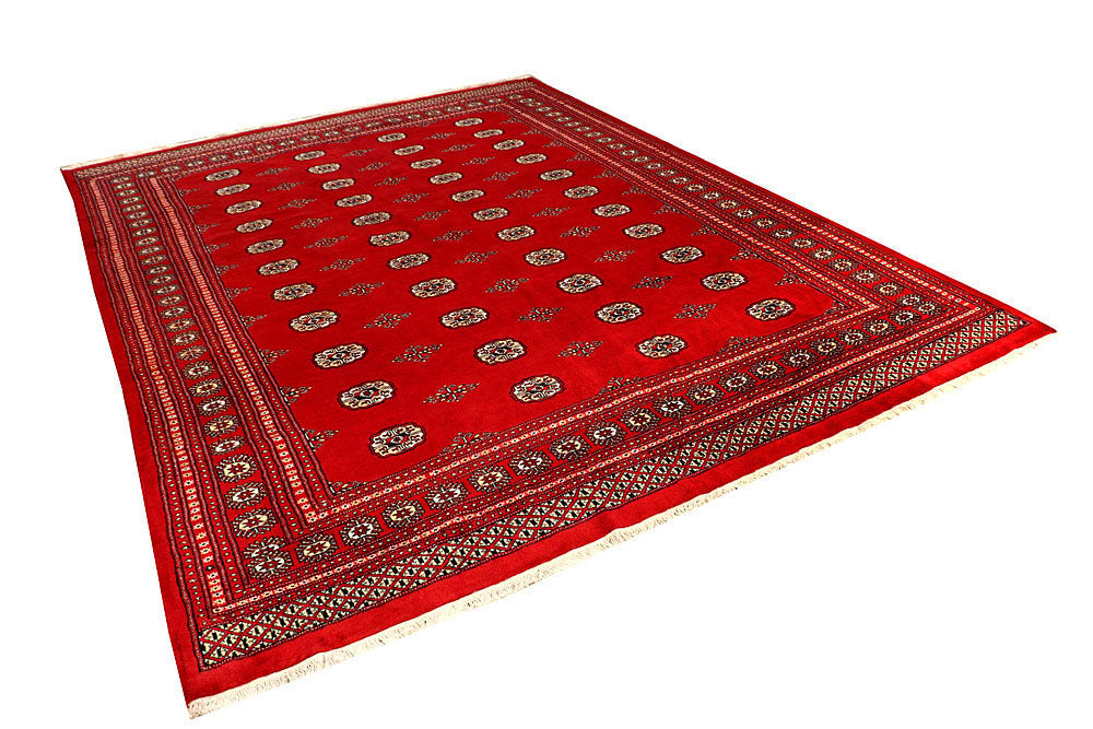 Firebrick Bokhara 8' 1 x 10' 9 - No. 59513 - ALRUG Rug Store