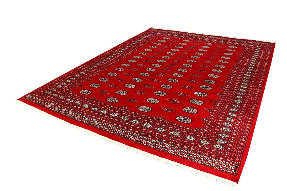 Bokhara 8' 2 x 10' 9 - No. 59520 - ALRUG Rug Store