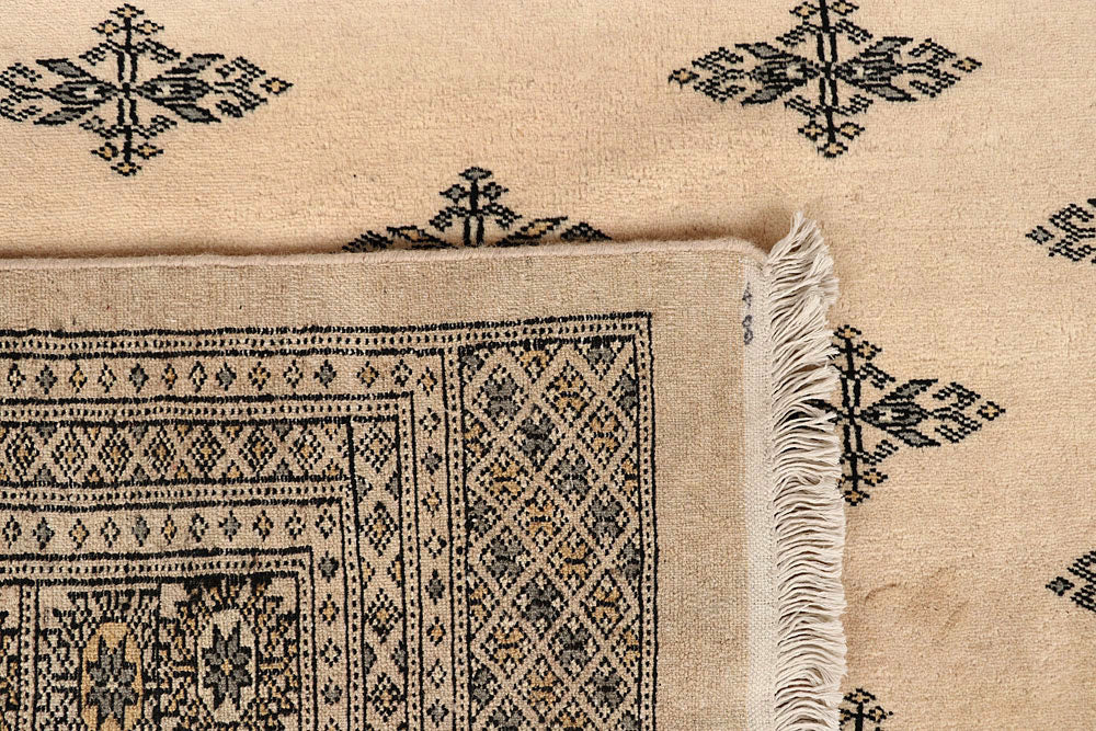 Bisque Butterfly 9' 11 x 13' 11 - No. 59577 - ALRUG Rug Store