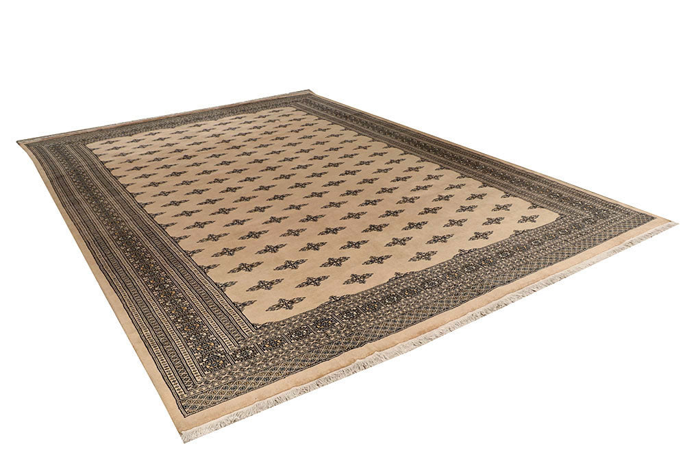 Bisque Butterfly 9' 10 x 14' - No. 59580 - ALRUG Rug Store