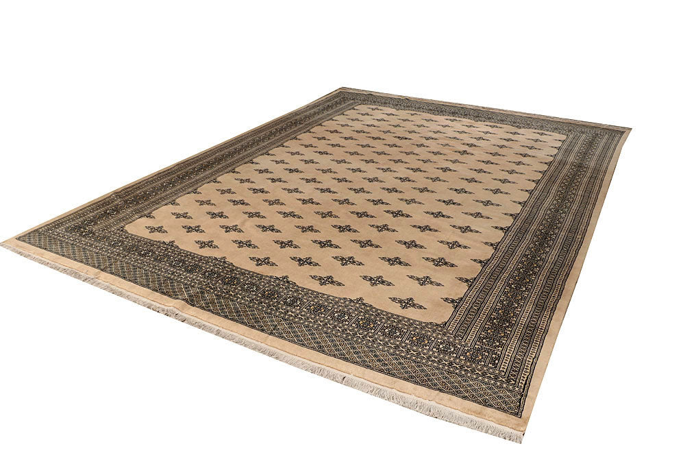 Bisque Butterfly 9' 11 x 13' 7 - No. 59582 - ALRUG Rug Store