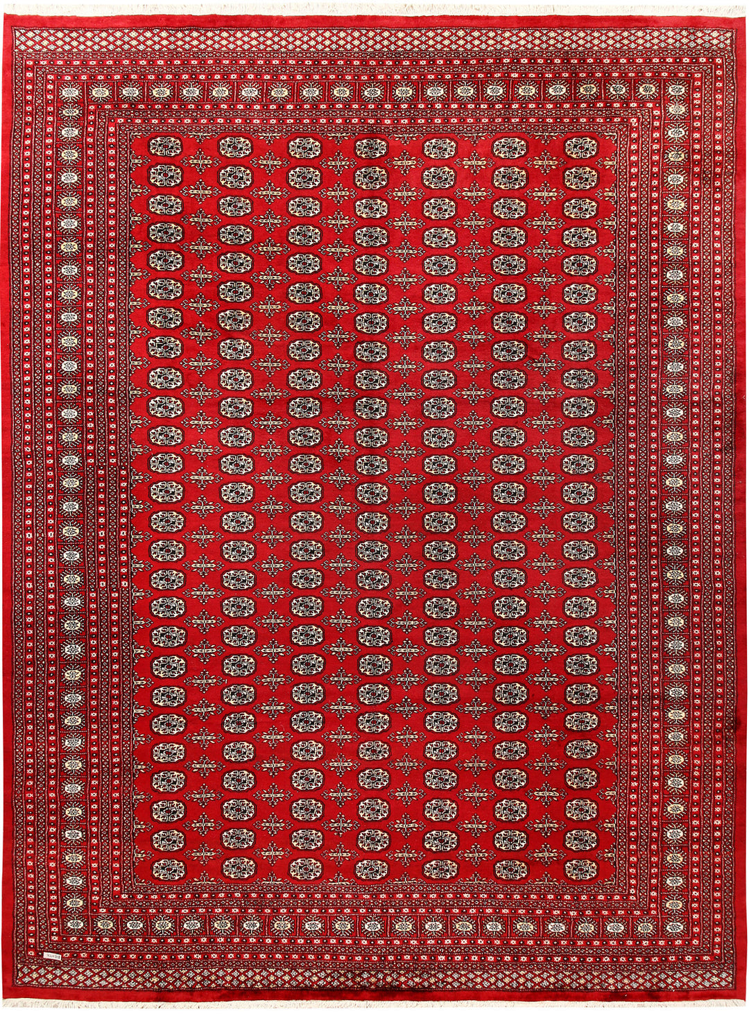 Firebrick Bokhara 10' 5 x 13' 10 - No. 59588 - ALRUG Rug Store