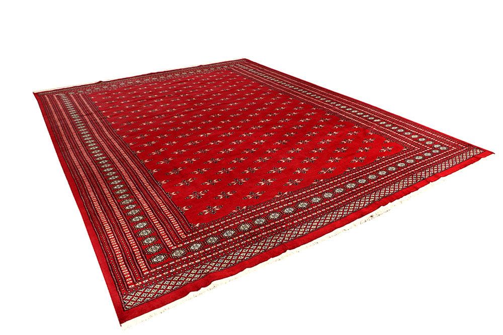 Butterfly 9' 10 x 14' 1 - No. 59607 - ALRUG Rug Store