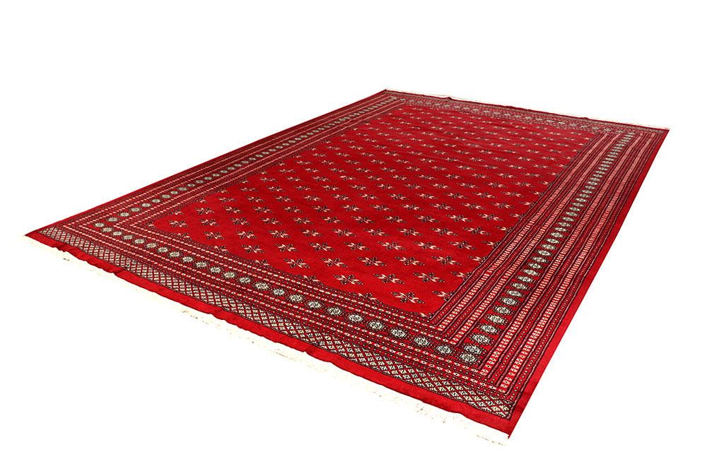 Butterfly 9' 10 x 14' 1 - No. 59607 - ALRUG Rug Store