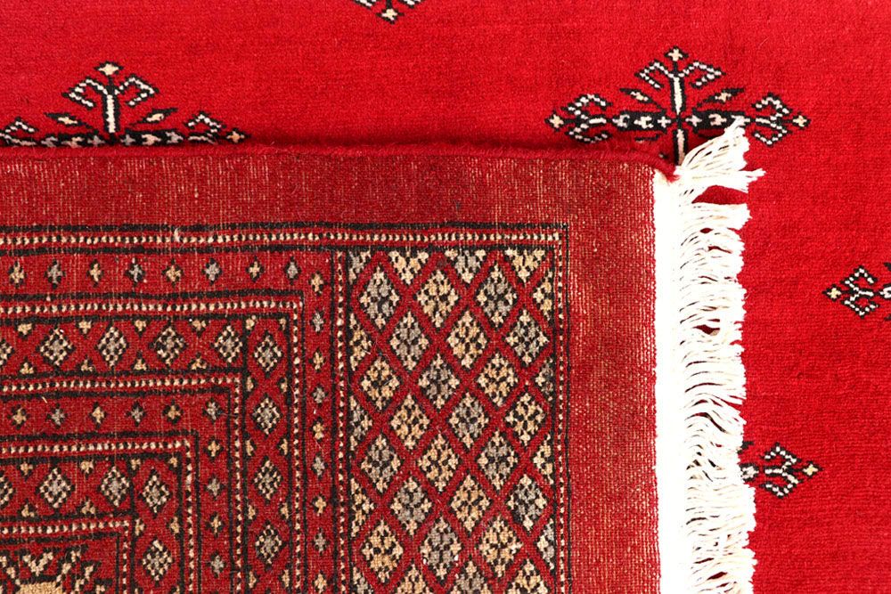 Butterfly 10' 1 x 13' 5 - No. 59608 - ALRUG Rug Store