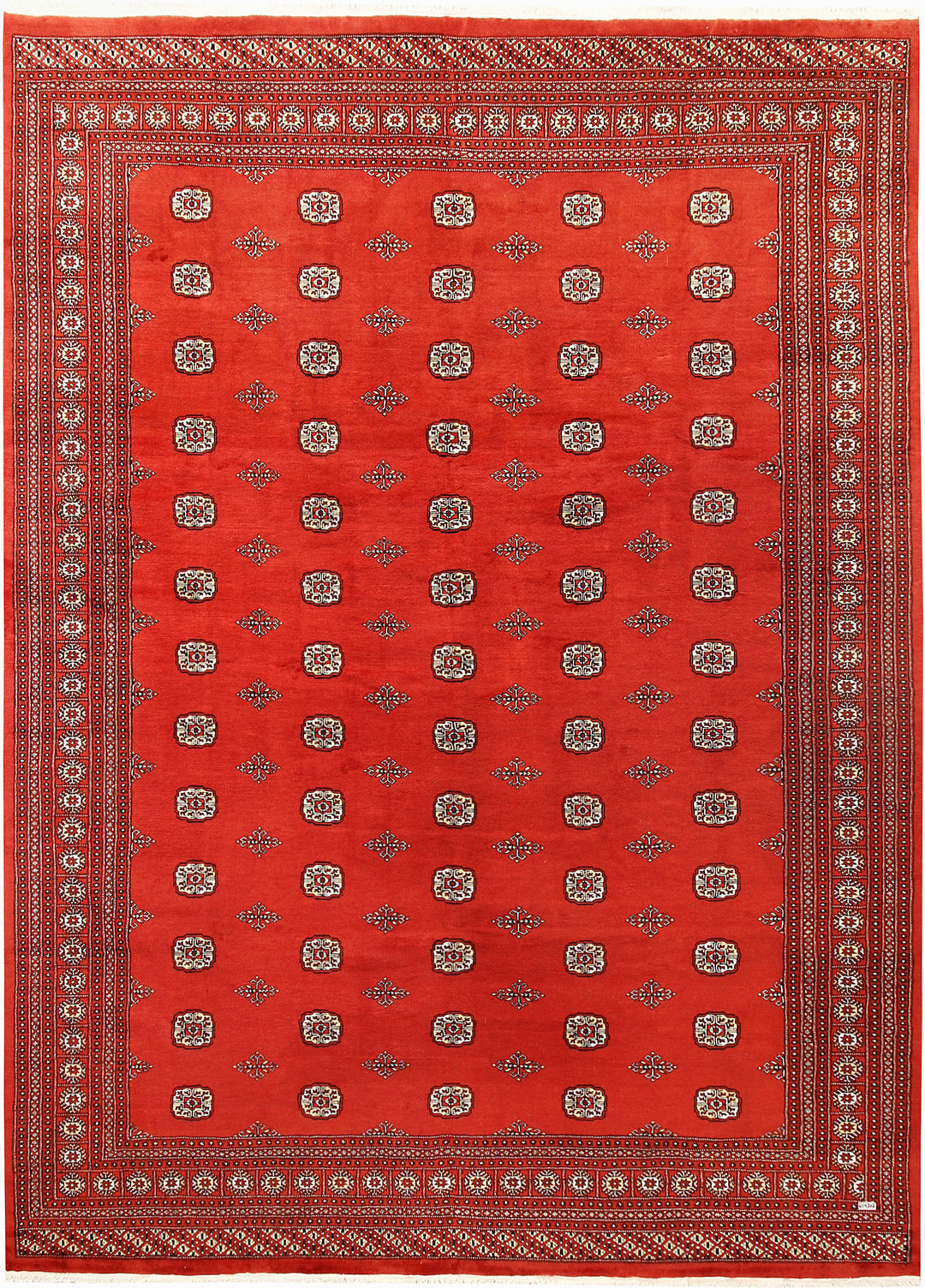 Tomato Bokhara 9' 11 x 13' 6 - No. 59612 - ALRUG Rug Store