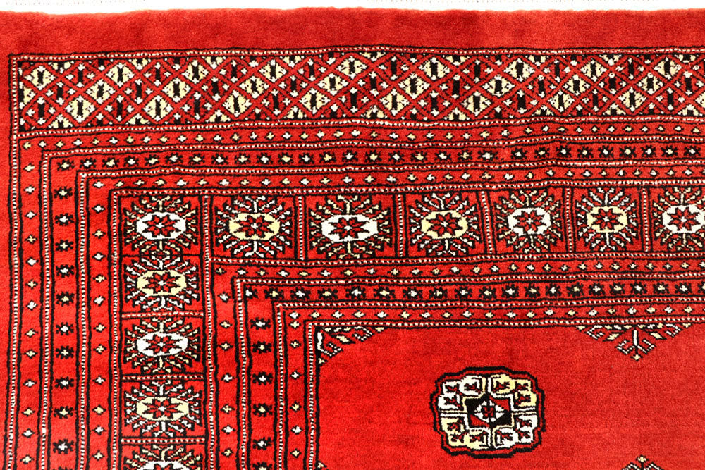 Orange Red Bokhara 10' 2 x 14' 10 - No. 59616 - ALRUG Rug Store