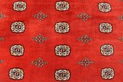 Orange Red Bokhara 10' 2 x 14' 10 - No. 59616 - ALRUG Rug Store