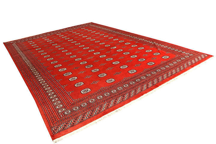 Orange Red Bokhara 10' 2 x 14' 10 - No. 59616 - ALRUG Rug Store