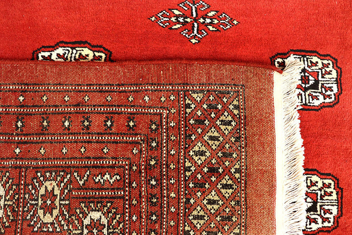 Orange Red Bokhara 10' 2 x 14' 10 - No. 59616 - ALRUG Rug Store