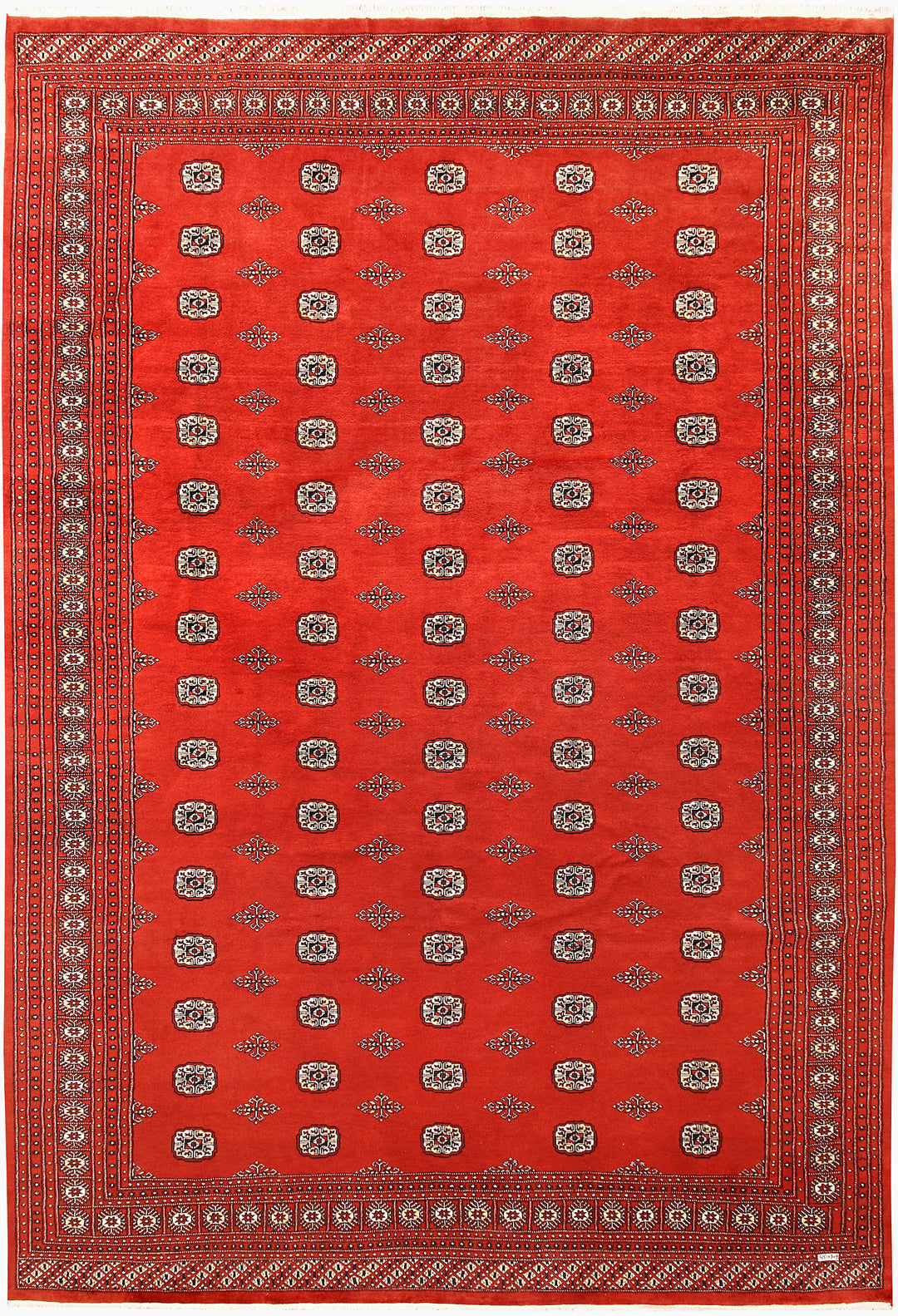 Orange Red Bokhara 10' 2 x 14' 10 - No. 59616 - ALRUG Rug Store