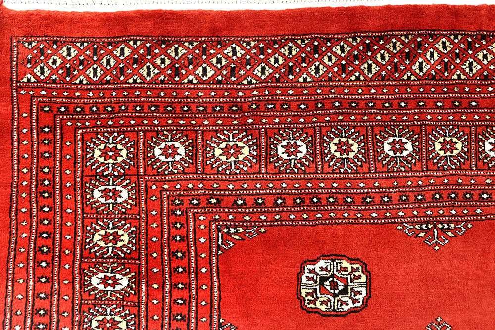 Orange Red Bokhara 10' 1 x 14' 11 - No. 59617 - ALRUG Rug Store