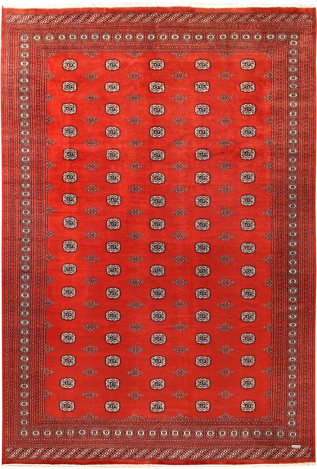 Orange Red Bokhara 10' 1 x 14' 11 - No. 59617 - ALRUG Rug Store
