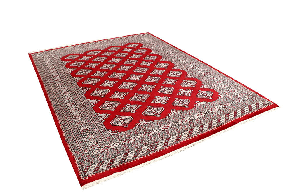 Firebrick Jaldar 6' 7 x 8' 7 - No. 59622 - ALRUG Rug Store