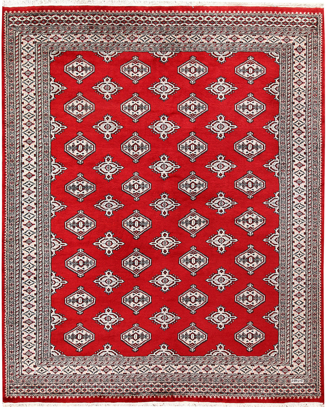 Firebrick Jaldar 6' 10 x 8' 4 - No. 59642 - ALRUG Rug Store