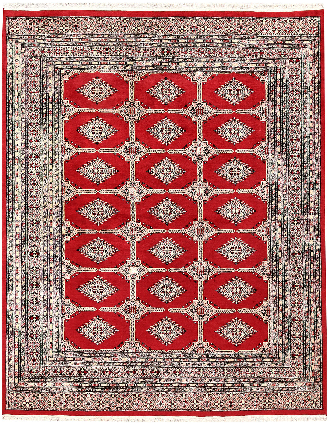 Firebrick Jaldar 6' 8 x 8' 4 - No. 59667 - ALRUG Rug Store