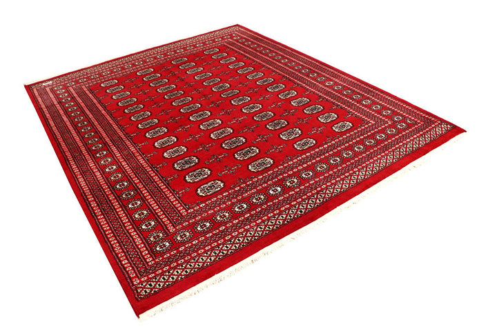 Firebrick Bokhara 6' 10 x 8' 3 - No. 59721 - ALRUG Rug Store