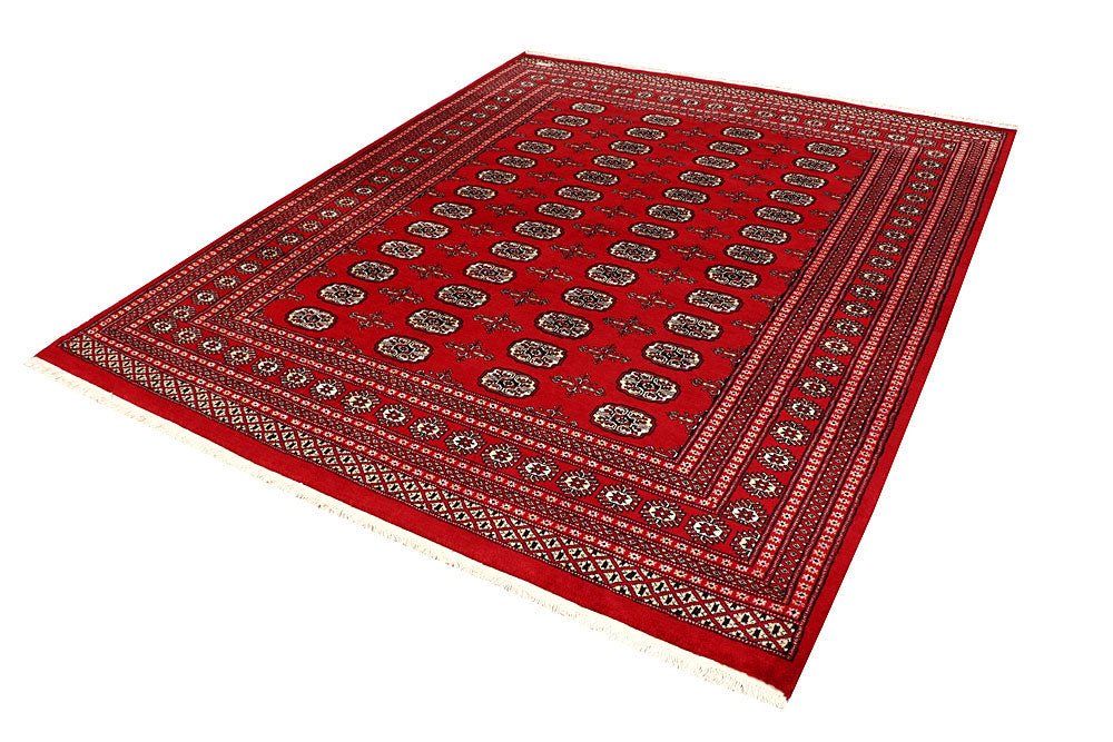 Firebrick Bokhara 6' 10 x 8' 3 - No. 59721 - ALRUG Rug Store