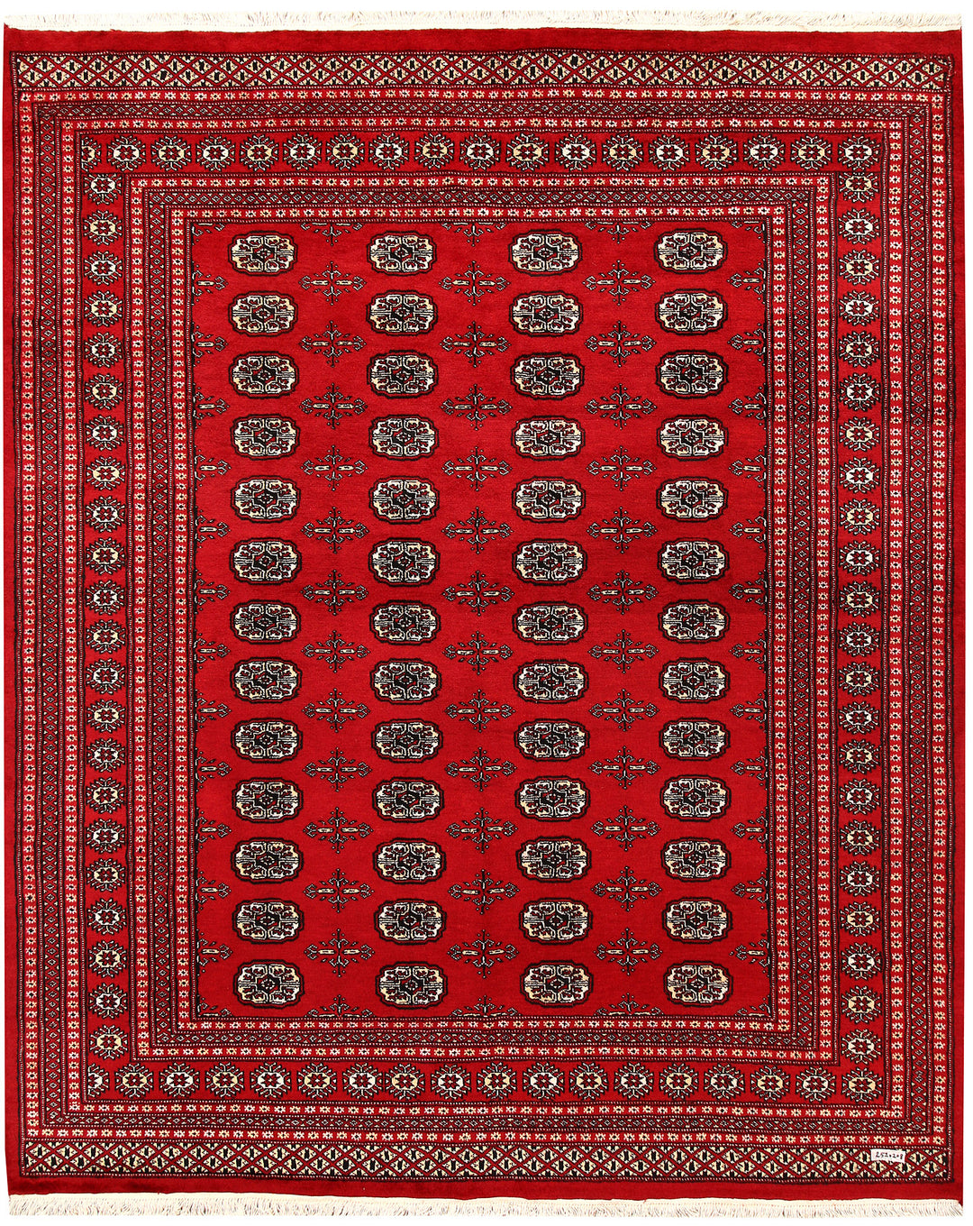 Firebrick Bokhara 6' 10 x 8' 3 - No. 59721 - ALRUG Rug Store