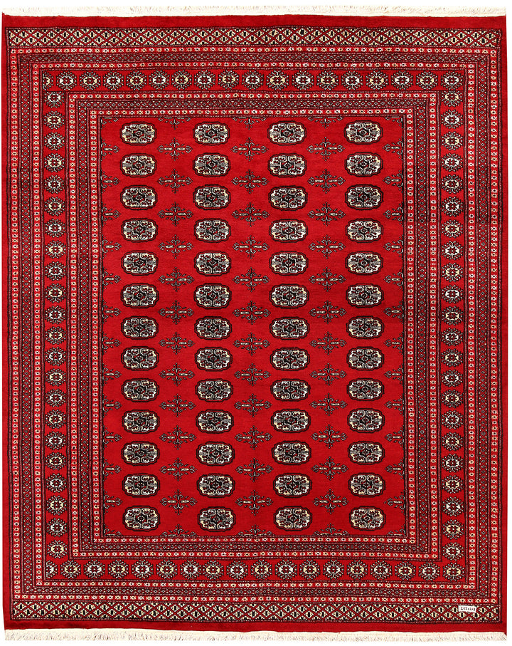 Firebrick Bokhara 6' 10 x 8' 3 - No. 59721 - ALRUG Rug Store