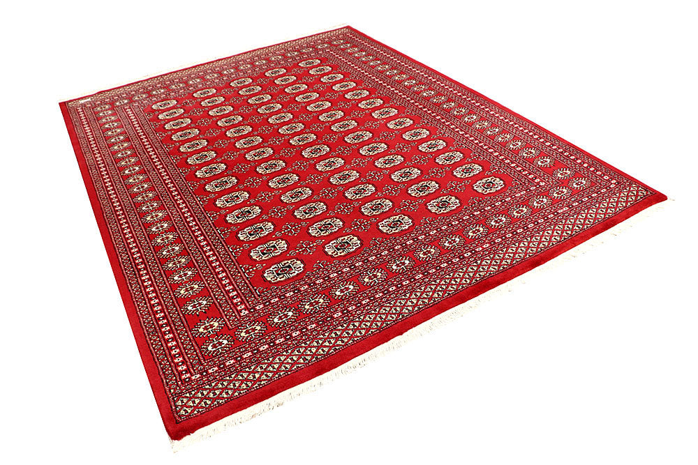 Firebrick Bokhara 6' 7 x 8' 5 - No. 59723 - ALRUG Rug Store