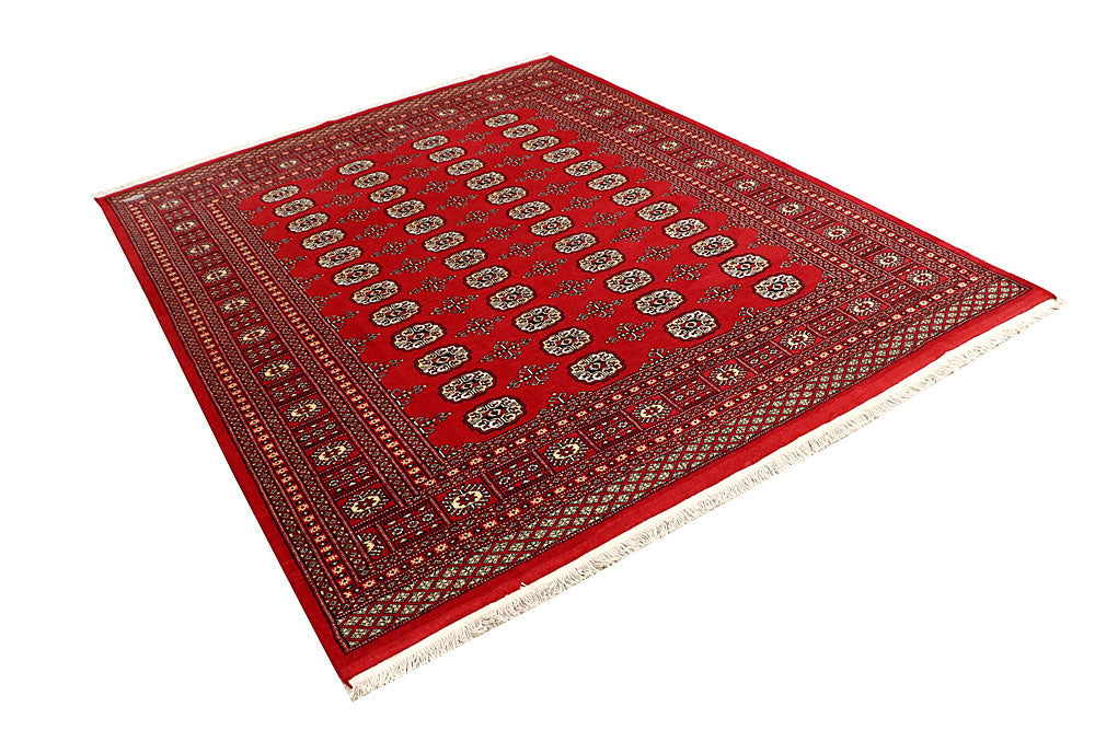 Firebrick Bokhara 6' 6 x 8' - No. 59725 - ALRUG Rug Store