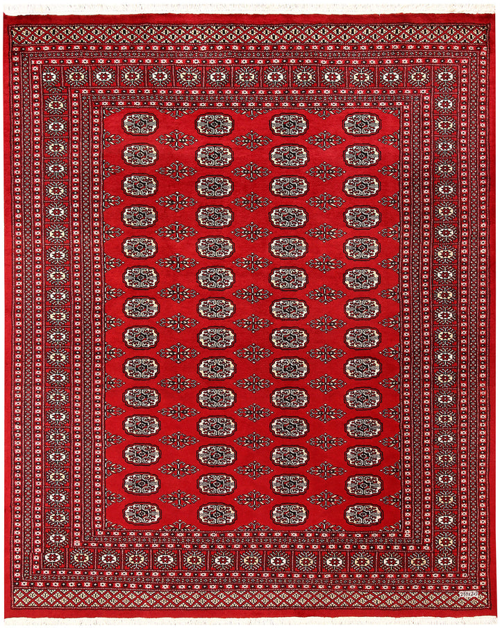 Firebrick Bokhara 6' 8 x 8' 6 - No. 59729 - ALRUG Rug Store