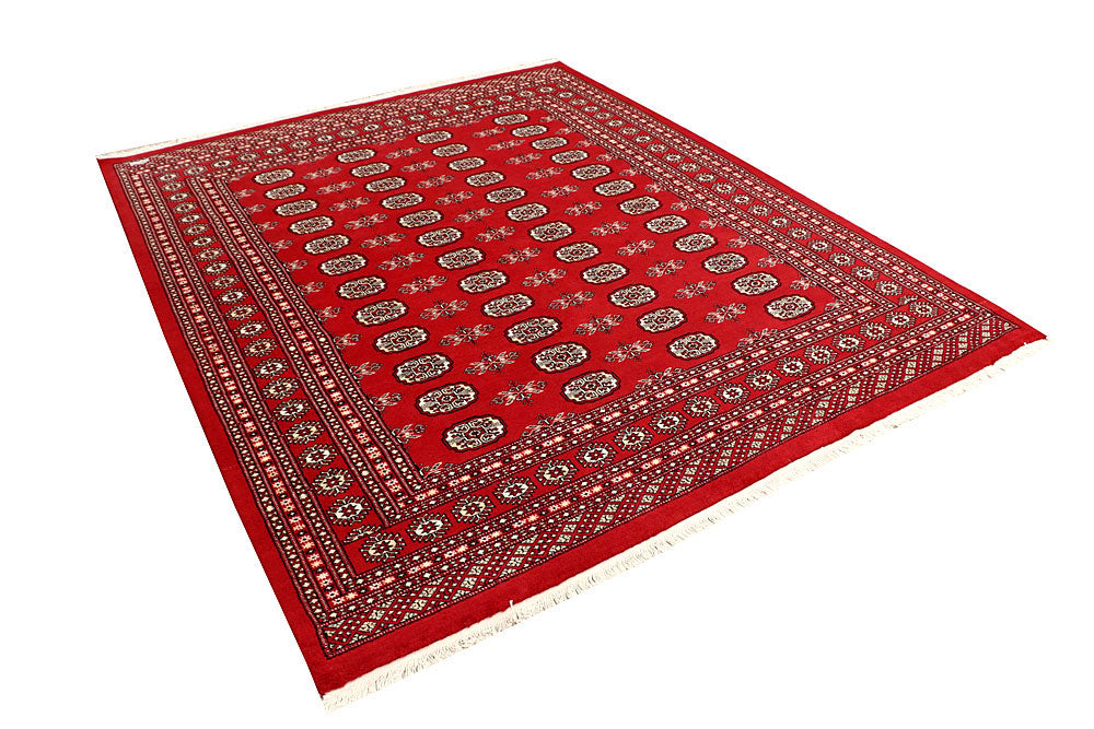 Firebrick Bokhara 6' 6 x 8' 1 - No. 59733 - ALRUG Rug Store