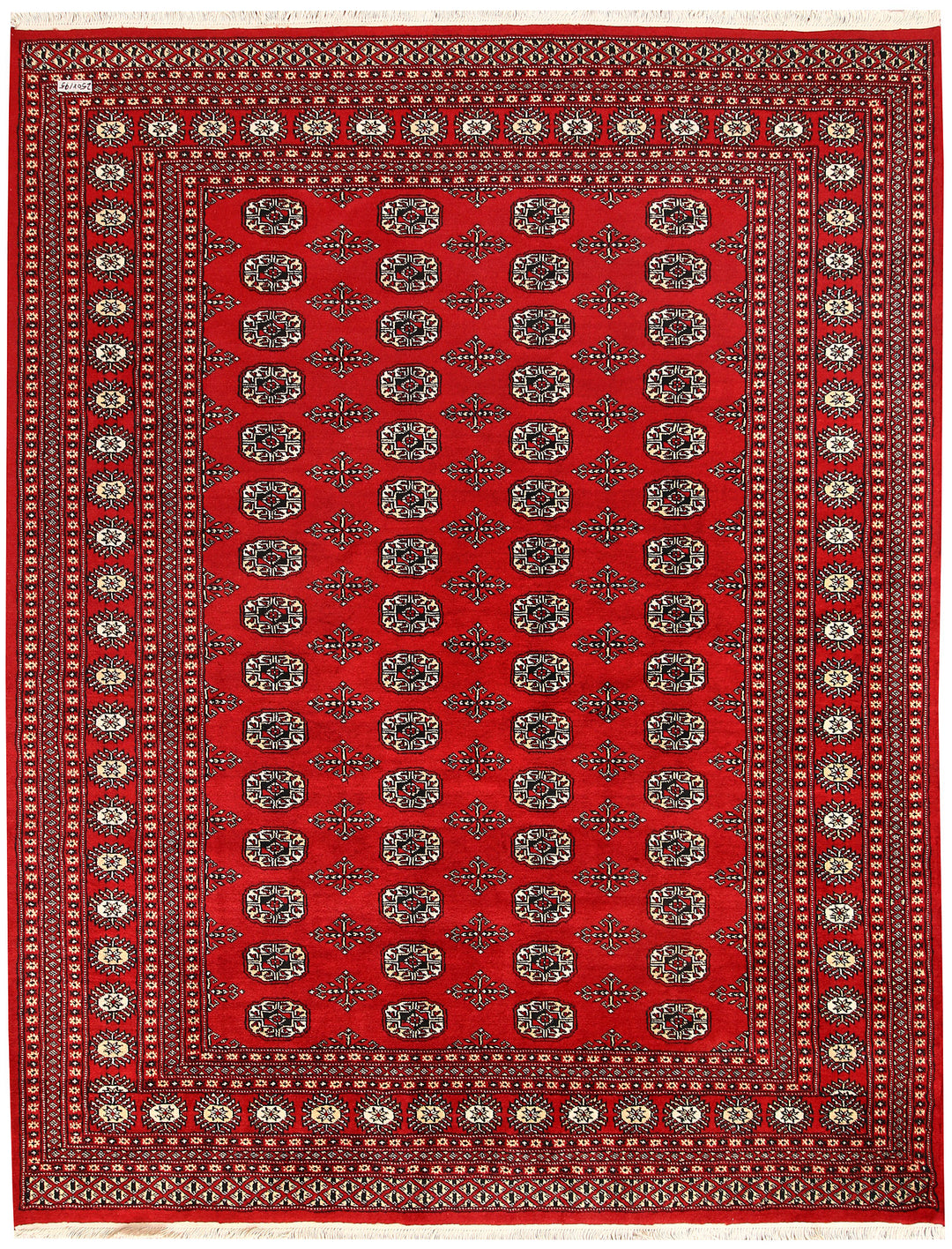 Firebrick Bokhara 6' 5 x 8' 2 - No. 59736 - ALRUG Rug Store