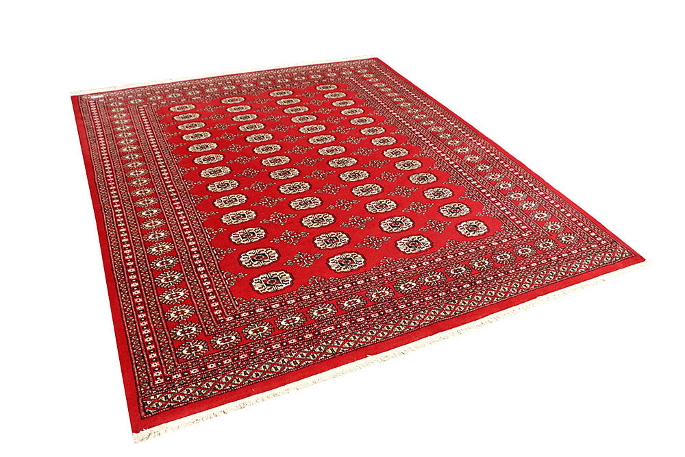 Firebrick Bokhara 6' 7 x 7' 10 - No. 59738 - ALRUG Rug Store