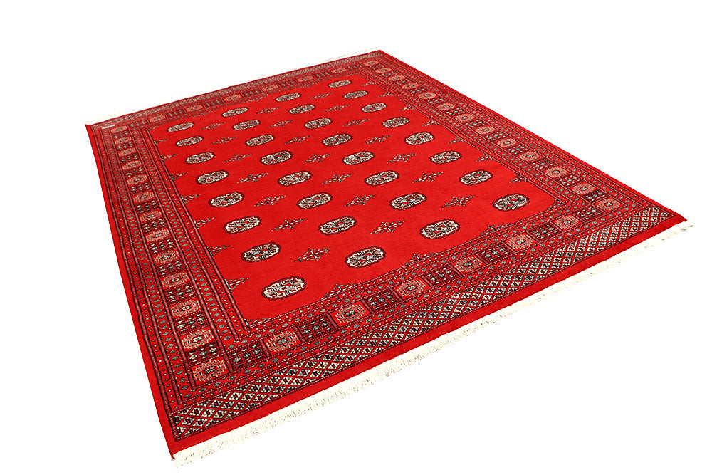 Red Bokhara 6' 8 x 8' 3 - No. 59742 - ALRUG Rug Store