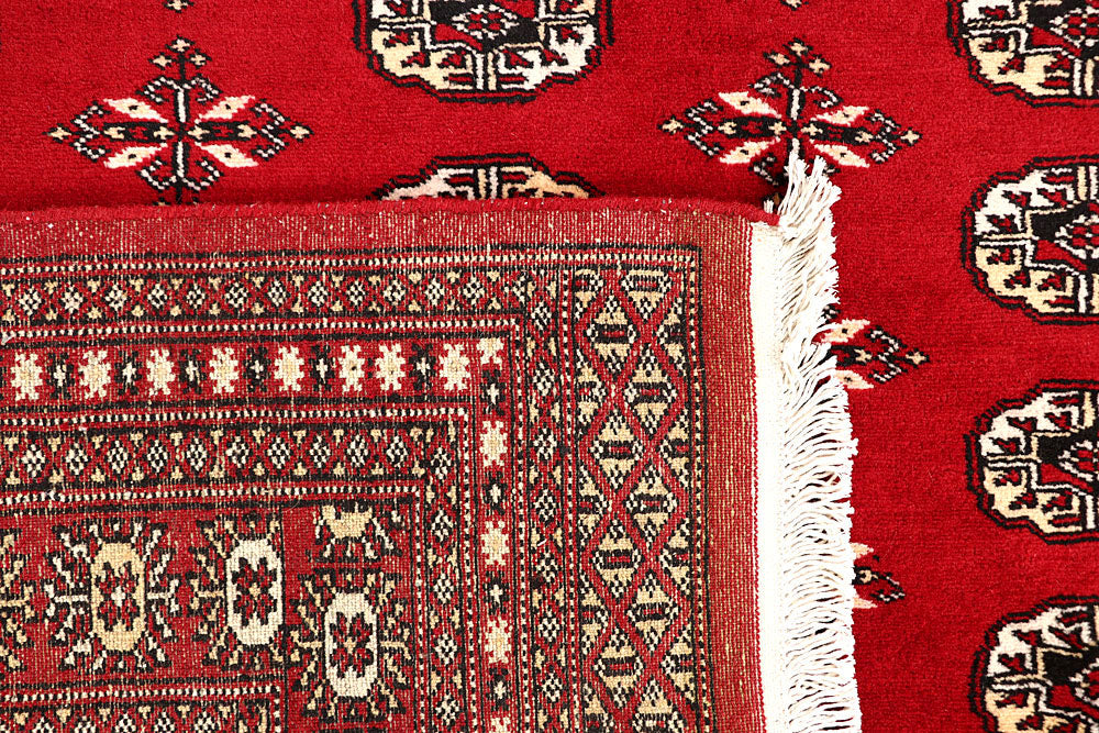 Firebrick Bokhara 6' 8 x 8' - No. 59747 - ALRUG Rug Store