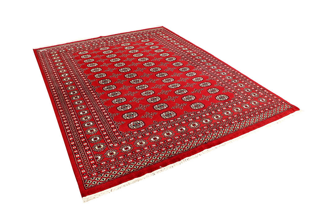 Firebrick Bokhara 6' 7 x 8' 4 - No. 59748 - ALRUG Rug Store