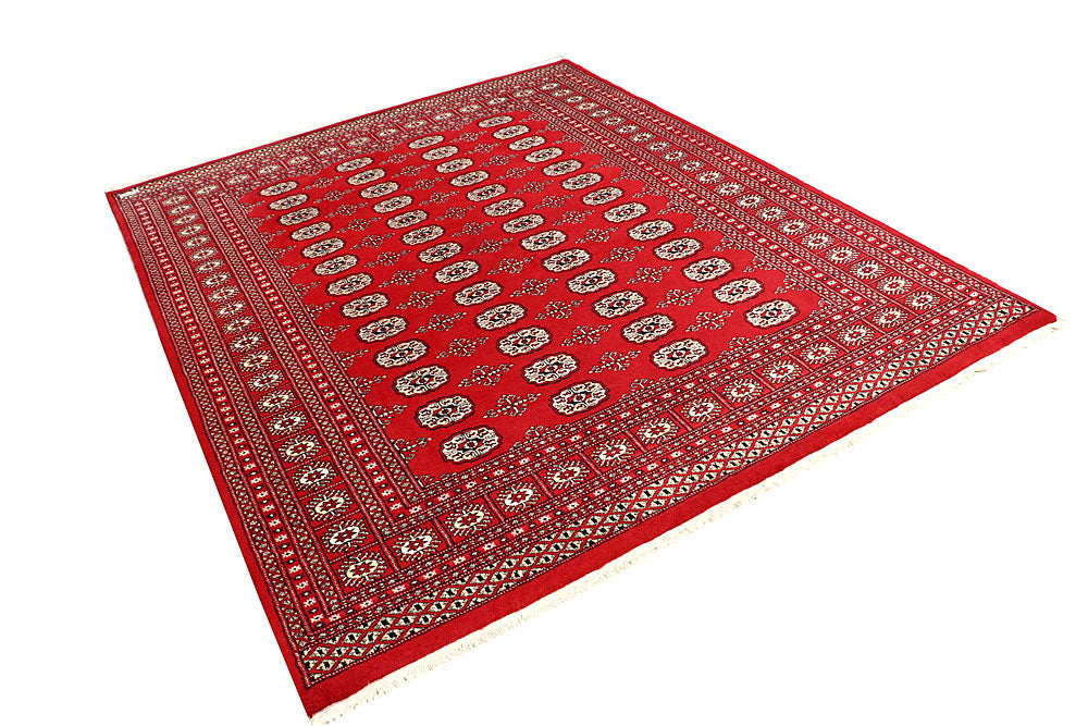 Firebrick Bokhara 6' 6 x 8' - No. 59749 - ALRUG Rug Store