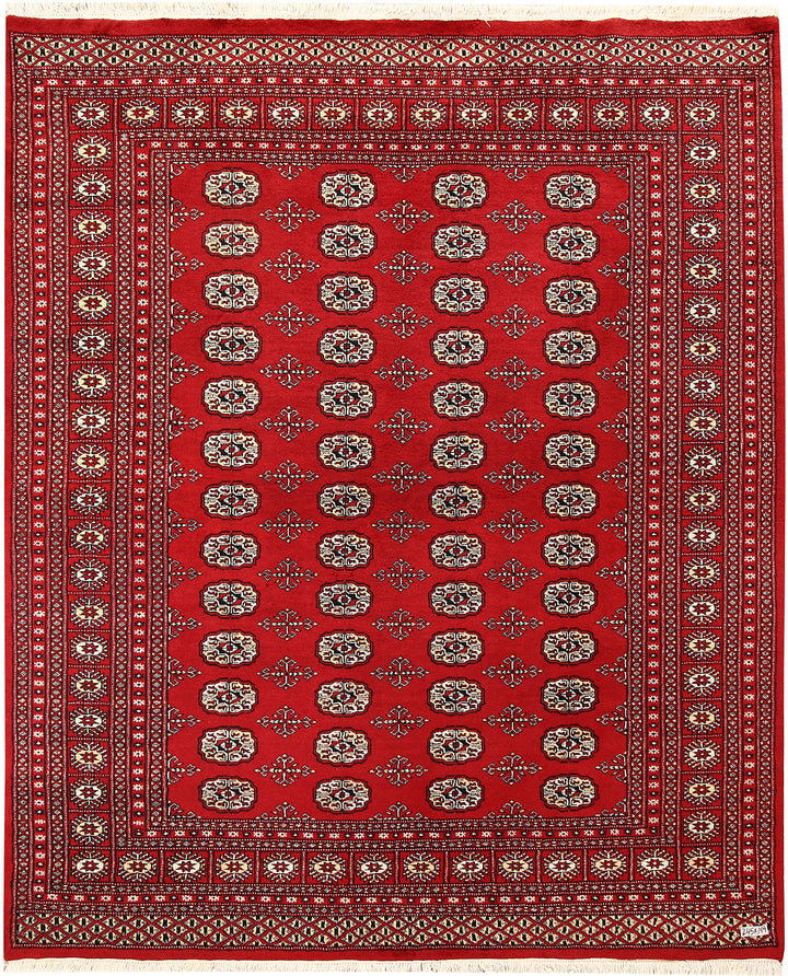 Firebrick Bokhara 6' 6 x 8' - No. 59749 - ALRUG Rug Store