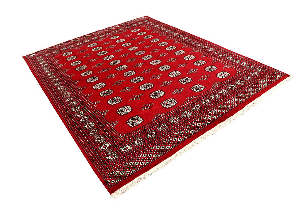 Firebrick Bokhara 6' 6 x 8' 4 - No. 59751 - ALRUG Rug Store